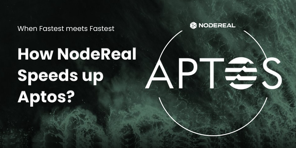When Fastest meets Fastest: How NodeReal Speeds up Aptos?